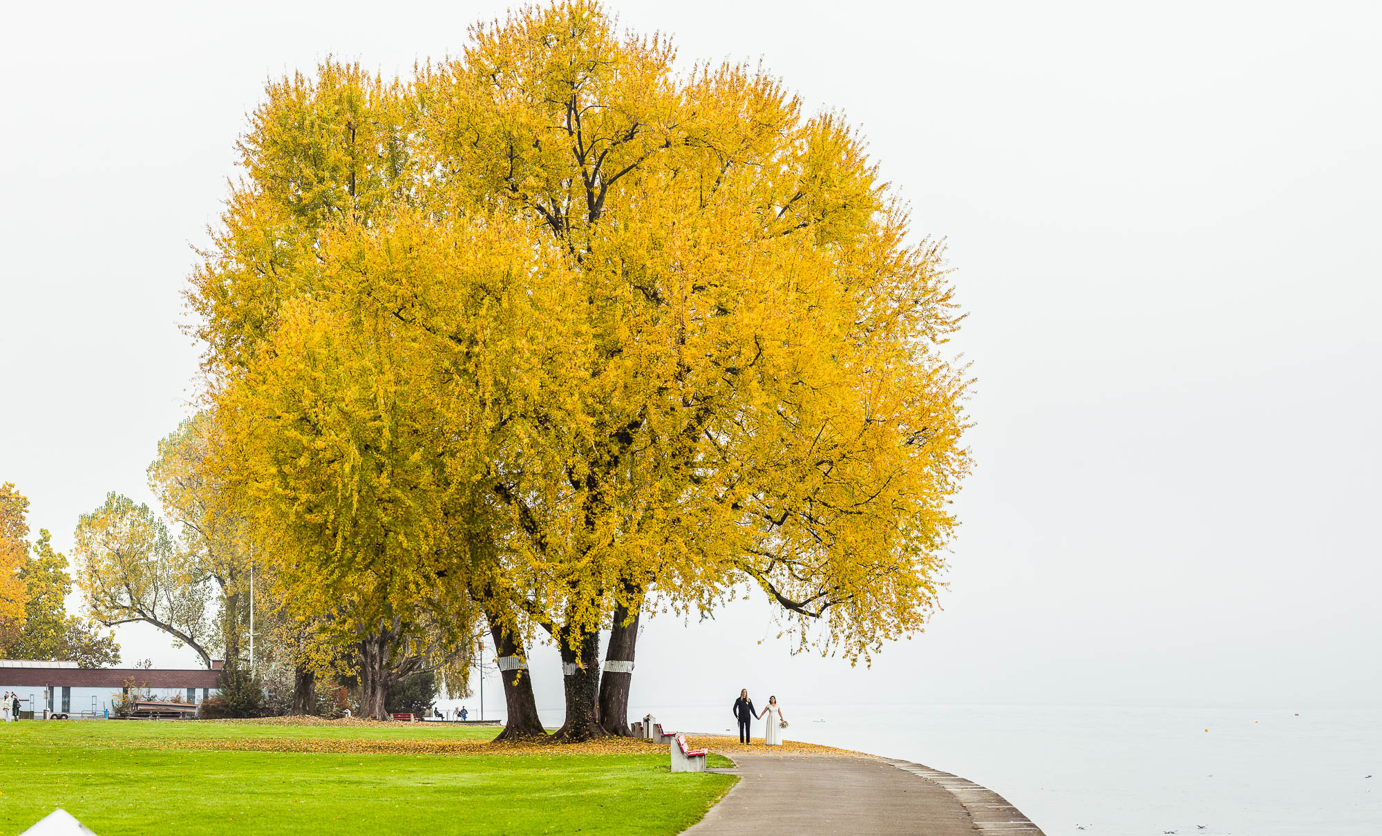 Export x3 1DX29340 Pano Hochzeit 2020 Monika & Sharru 3
